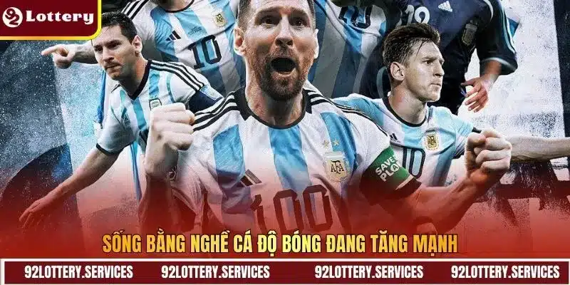 Sống bằng nghề cá độ bóng đang tăng mạnh Sống bằng nghề cá độ bóng đang tăng mạnh